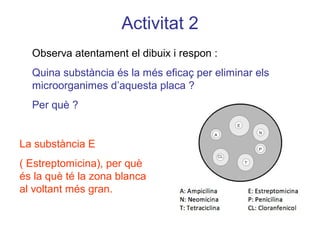 Activitat 2
La substància E
( Estreptomicina), per què
és la què té la zona blanca
al voltant més gran.
Observa atentament el dibuix i respon :
Quina substància és la més eficaç per eliminar els
microorganimes d’aquesta placa ?
Per què ?
 