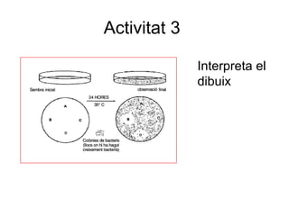 Activitat 3
Interpreta el
dibuix
 
