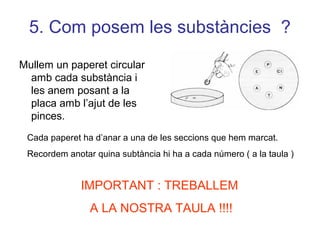 5. Com posem les substàncies ?
Mullem un paperet circular
amb cada substància i
les anem posant a la
placa amb l’ajut de les
pinces.
Cada paperet ha d’anar a una de les seccions que hem marcat.
Recordem anotar quina subtància hi ha a cada número ( a la taula )
IMPORTANT : TREBALLEM
A LA NOSTRA TAULA !!!!
 