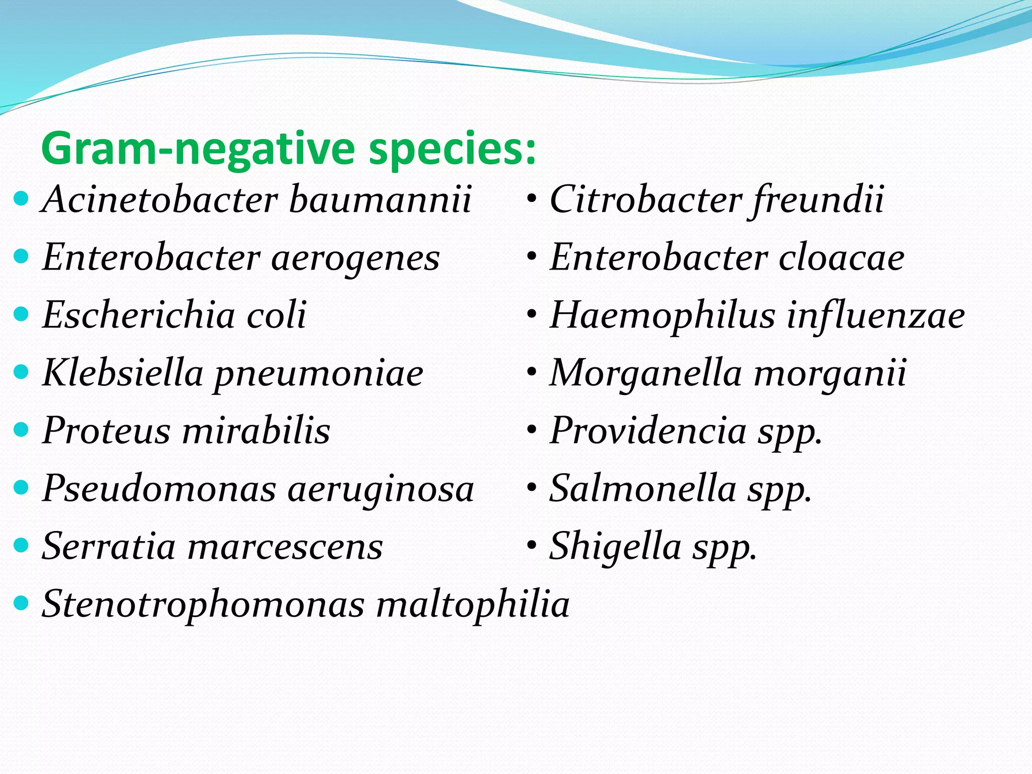 Gram-negative species:
 Acinetobacter baumannii • Citrobacter freundii
 Enterobacter aerogenes • Enterobacter cloacae
 Escherichia coli • Haemophilus influenzae
 Klebsiella pneumoniae • Morganella morganii
 Proteus mirabilis • Providencia spp.
 Pseudomonas aeruginosa • Salmonella spp.
 Serratia marcescens • Shigella spp.
 Stenotrophomonas maltophilia
 