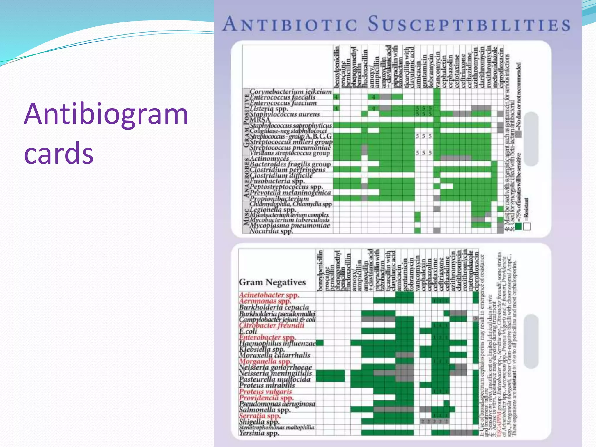 Antibiogram
cards
 