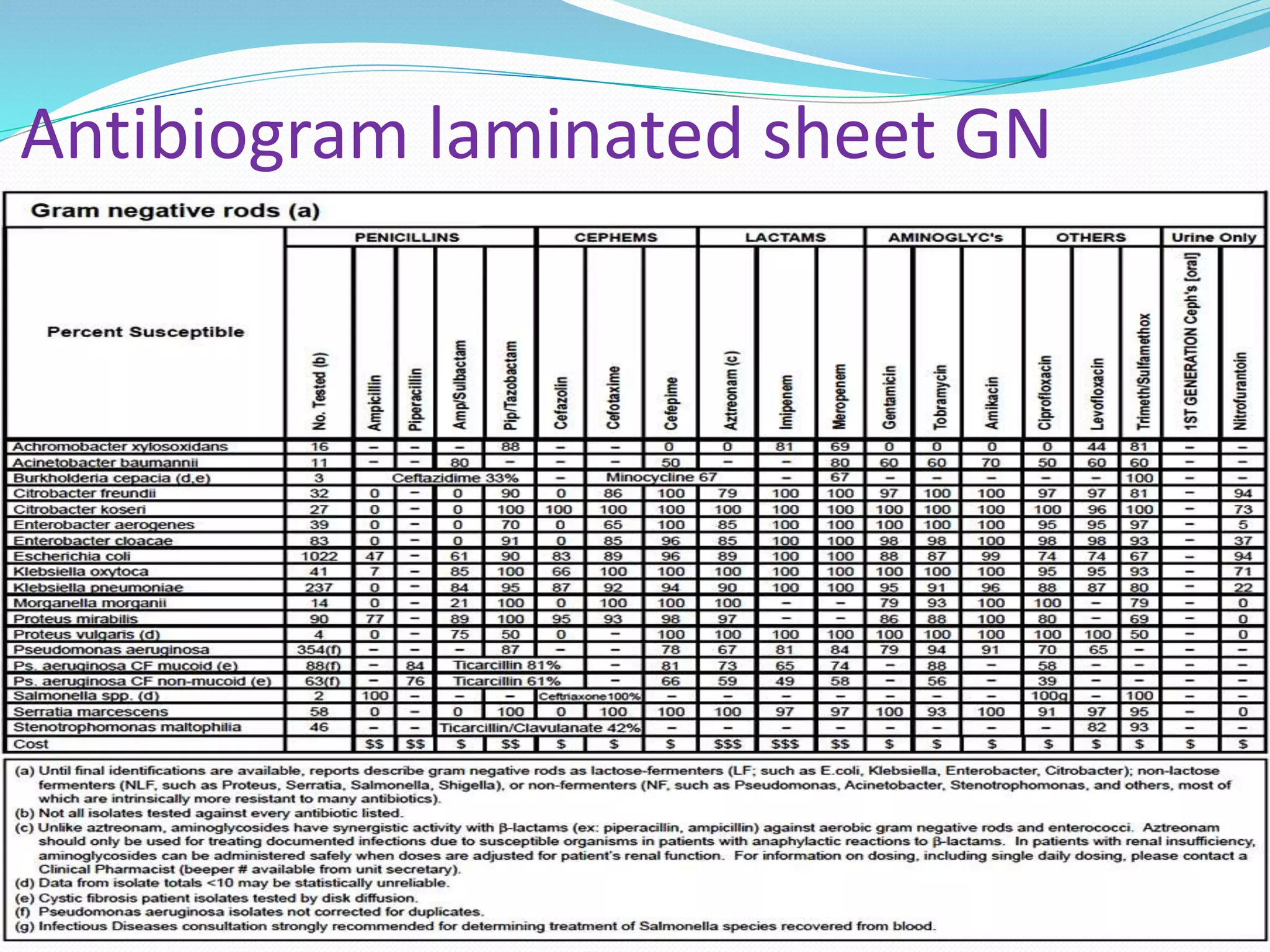 Antibiogram laminated sheet GN
 