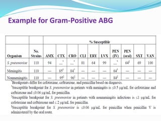 Example for Gram-Positive ABG
 