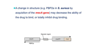 ⚫A change in structure (e.g. PBP2a in S. aureus by
acquisition of the mecA gene) may decrease the ability of
the drug to bind, or totally inhibit drug binding.
 