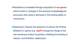 ⚫Resistance is mediated through acquisition of van genes
which results in changes in the structure of peptidoglycan
precursors that cause a decrease in the binding ability of
vancomycin.
⚫Daptomycin requires the presence of calcium for binding.
Mutations in genes (e.g. mprF) change the charge of the
cell membrane surface to positive, inhibiting the binding of
calcium, and therefore, daptomycin.
 