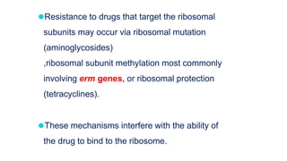 ⚫Resistance to drugs that target the ribosomal
subunits may occur via ribosomal mutation
(aminoglycosides)
,ribosomal subunit methylation most commonly
involving erm genes, or ribosomal protection
(tetracyclines).
⚫These mechanisms interfere with the ability of
the drug to bind to the ribosome.
 