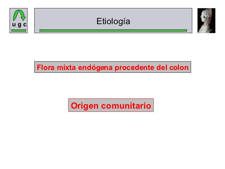 ANTIBIOTERAPIA EN LA DIVERTICULITIS YLA EII ANTIBIOTERAPIA EN LA DIVERTICULITIS YLA EII