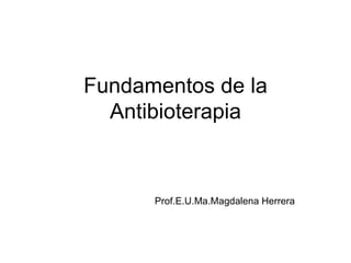 Fundamentos de la Antibioterapia Prof.E.U.Ma.Magdalena Herrera 