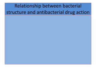 Relationship between bacterial
structure and antibacterial drug action
 