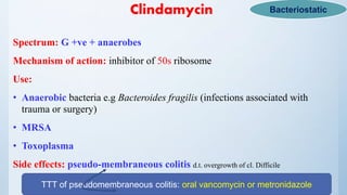 Clindamycin
Spectrum: G +ve + anaerobes
Mechanism of action: inhibitor of 50s ribosome
Use:
• Anaerobic bacteria e.g Bacteroides fragilis (infections associated with
trauma or surgery)
• MRSA
• Toxoplasma
Side effects: pseudo-membraneous colitis d.t. overgrowth of cl. Difficile
Bacteriostatic
TTT of pseudomembraneous colitis: oral vancomycin or metronidazole
 