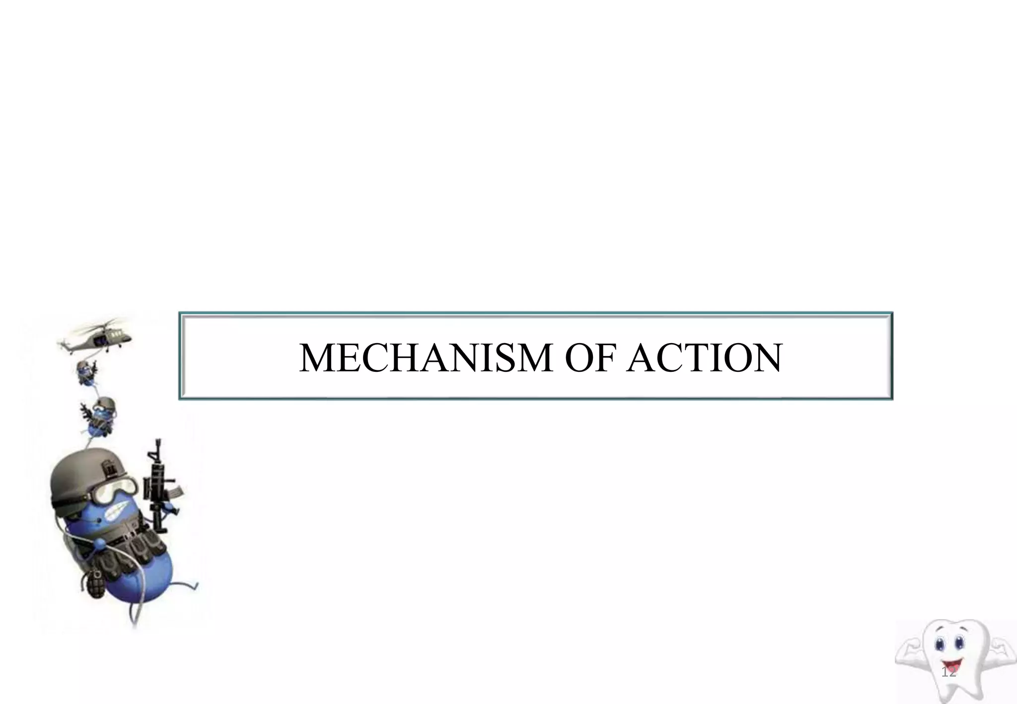 MECHANISM OF ACTION
12
 