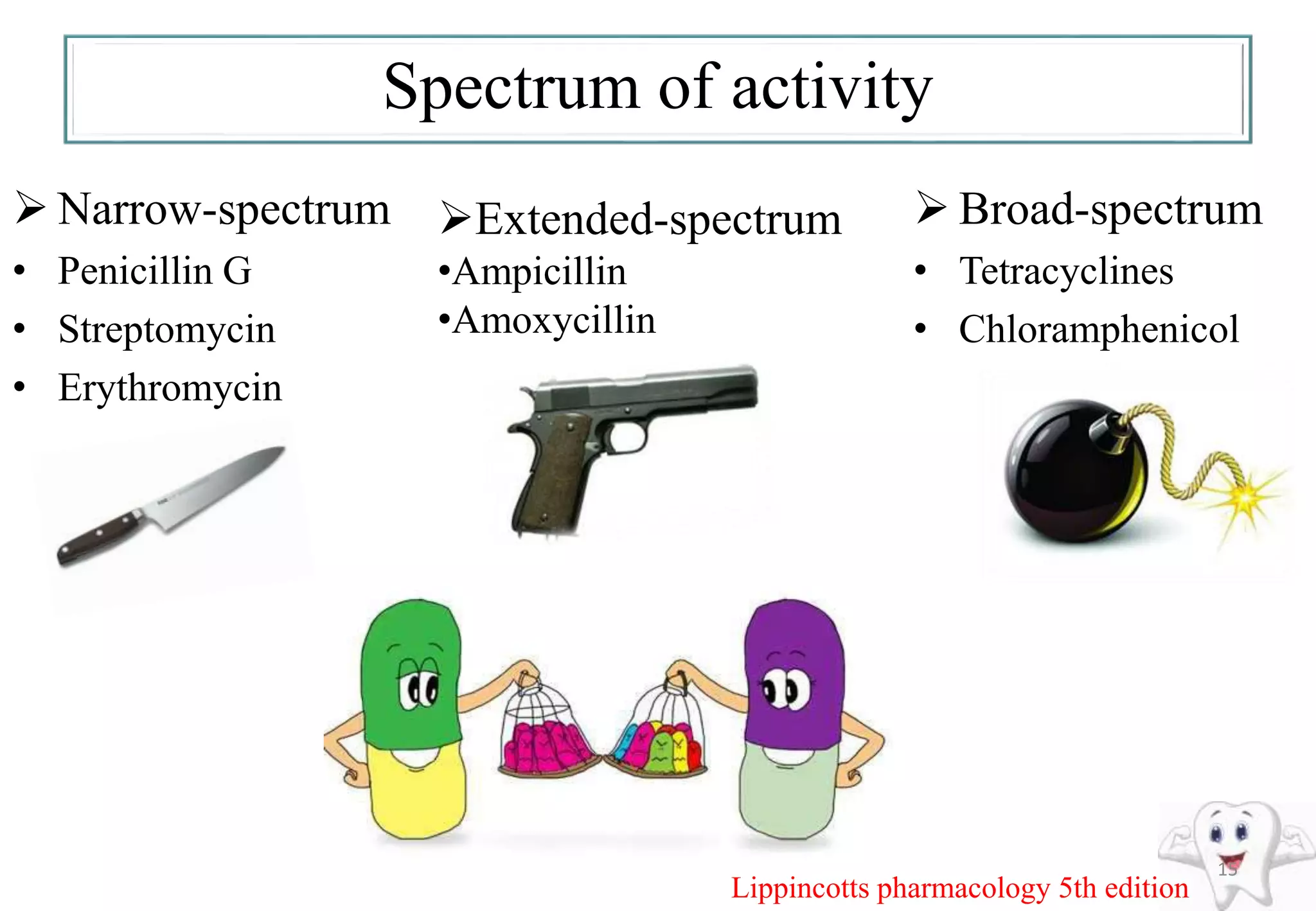 Spectrum of activity
 Narrow-spectrum
• Penicillin G
• Streptomycin
• Erythromycin
 Broad-spectrum
• Tetracyclines
• Chloramphenicol
15
Extended-spectrum
•Ampicillin
•Amoxycillin
Lippincotts pharmacology 5th edition
 