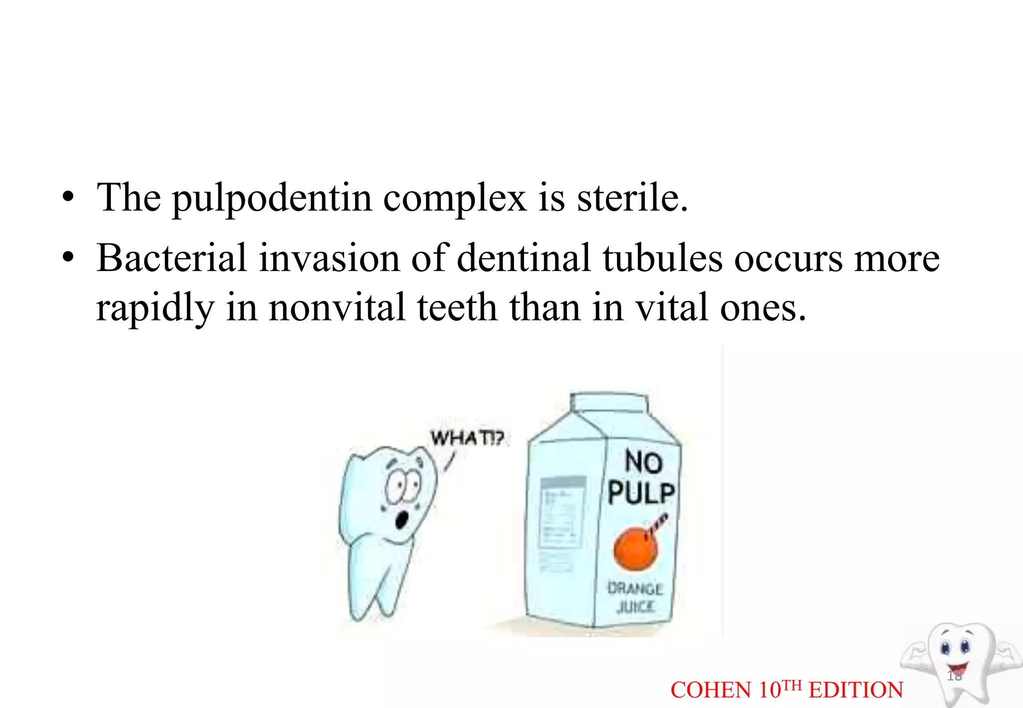 • The pulpodentin complex is sterile.
• Bacterial invasion of dentinal tubules occurs more
rapidly in nonvital teeth than in vital ones.
18
COHEN 10TH EDITION
 