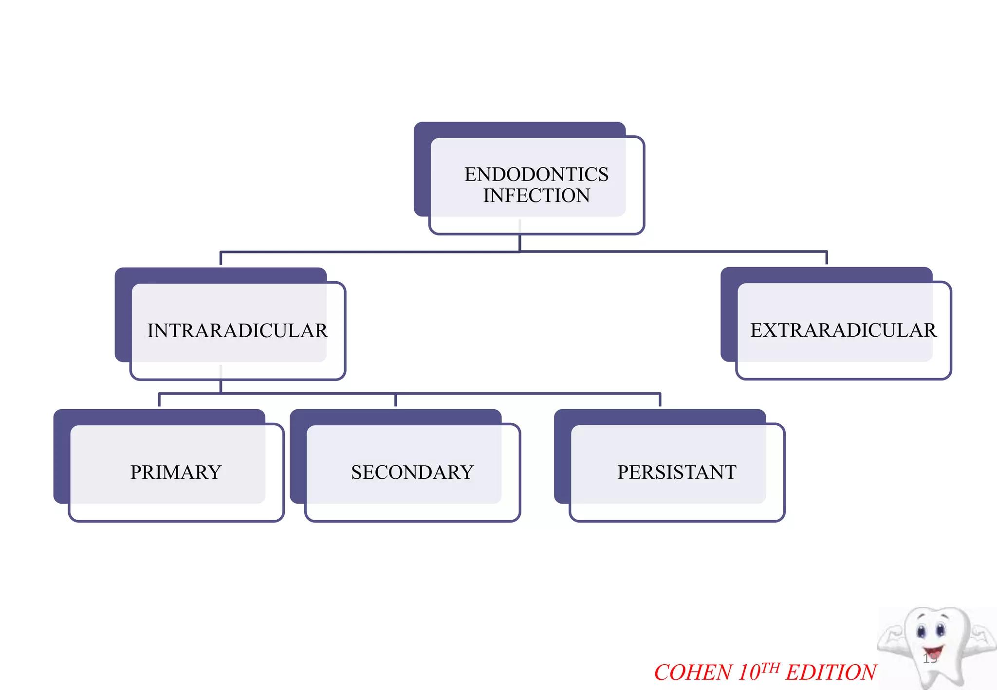 19
ENDODONTICS
INFECTION
INTRARADICULAR
PRIMARY SECONDARY PERSISTANT
EXTRARADICULAR
COHEN 10TH EDITION
 