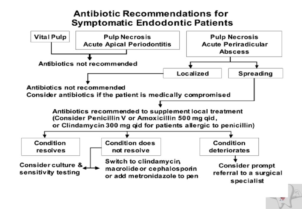 Antibiotic in endodontic