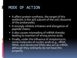 MODE OF ACTION
 It affect protein synthesis, the target of this
antibiotic is the 30S subunit of the 70S ribosome
of the prokaryotes.
 It strongly inhibits initiation and elongation of
peptide chains.
 It also causes misreading of mRNA thereby
leading to insertion of wrong amino acids
 Finally, under the influence of streptomycin,
some molecules of nucleic acids (e.g., rRNA,
tRNA, and denatured DNA) also act as mRNA
although they ordinarily do not have this
property.
 