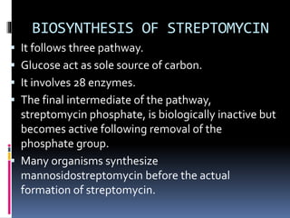 BIOSYNTHESIS OF STREPTOMYCIN
 It follows three pathway.
 Glucose act as sole source of carbon.
 It involves 28 enzymes.
 The final intermediate of the pathway,
streptomycin phosphate, is biologically inactive but
becomes active following removal of the
phosphate group.
 Many organisms synthesize
mannosidostreptomycin before the actual
formation of streptomycin.
 
