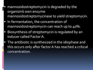  mannosidostreptomycin is degraded by the
organism’
s own enzyme
mannosidostreptomycinase to yield streptomycin.
 In fermentation, the concentration of
mannosidostreptomycin can reach up to 40%.
 Biosynthesis of streptomycin is regulated by an
inducer called Factor A.
 The antibiotic is synthesized in the idiophase and
this occurs only after factor A has reached a critical
concentration.
 