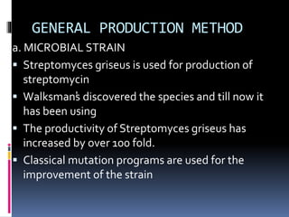 GENERAL PRODUCTION METHOD
a. MICROBIAL STRAIN
 Streptomyces griseus is used for production of
streptomycin
 Walksman’
s discovered the species and till now it
has been using
 The productivity of Streptomyces griseus has
increased by over 100 fold.
 Classical mutation programs are used for the
improvement of the strain
 