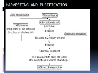 HARVESTING AND PURIFICATION
 