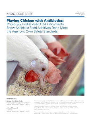 NRDC: Playing Chicken with Antibiotics - Previously Undisclosed FDA Documents Show Antibiotic Feed Additives Don’t
Meet the Agency’s Own Safety Standards (PDF)

NRDC ISSUE BRIEF

JANUARY 2014
IB:14-01-B

Playing Chicken with Antibiotics:
Previously Undisclosed FDA Documents
Show Antibiotic Feed Additives Don’t Meet
the Agency’s Own Safety Standards

PREPARED BY:
Carmen Cordova, Ph.D.
Sustainable Livestock Science Fellow
Natural Resources Defense Council
Avinash Kar, J.D.
Attorney
Natural Resources Defense Council

The authors are grateful for the helpful comments of Tyler Smith, Robert Martin, Keeve Nachman,
and Meghan Davis at the Johns Hopkins Center for a Livable Future, Steve Roach at Food Animal
Concerns Trust (FACT) and Prof. Hiroshi Nikaido at University of California Berkeley.
The authors are also indebted to Jonathan Kaplan, Jen Sorenson, Christina Swanson,
George Peridas, Miriam Rotkin-Ellman, Erik Olson, and Jackie Prange (NRDC) for their
helpful advice and comments.
The authors wish to acknowledge the support of Maria Bowman, Mary Woolsey,
Andrea Spacht, Aaron Forbath, and Erin Daly (NRDC) in preparation of this publication.

 