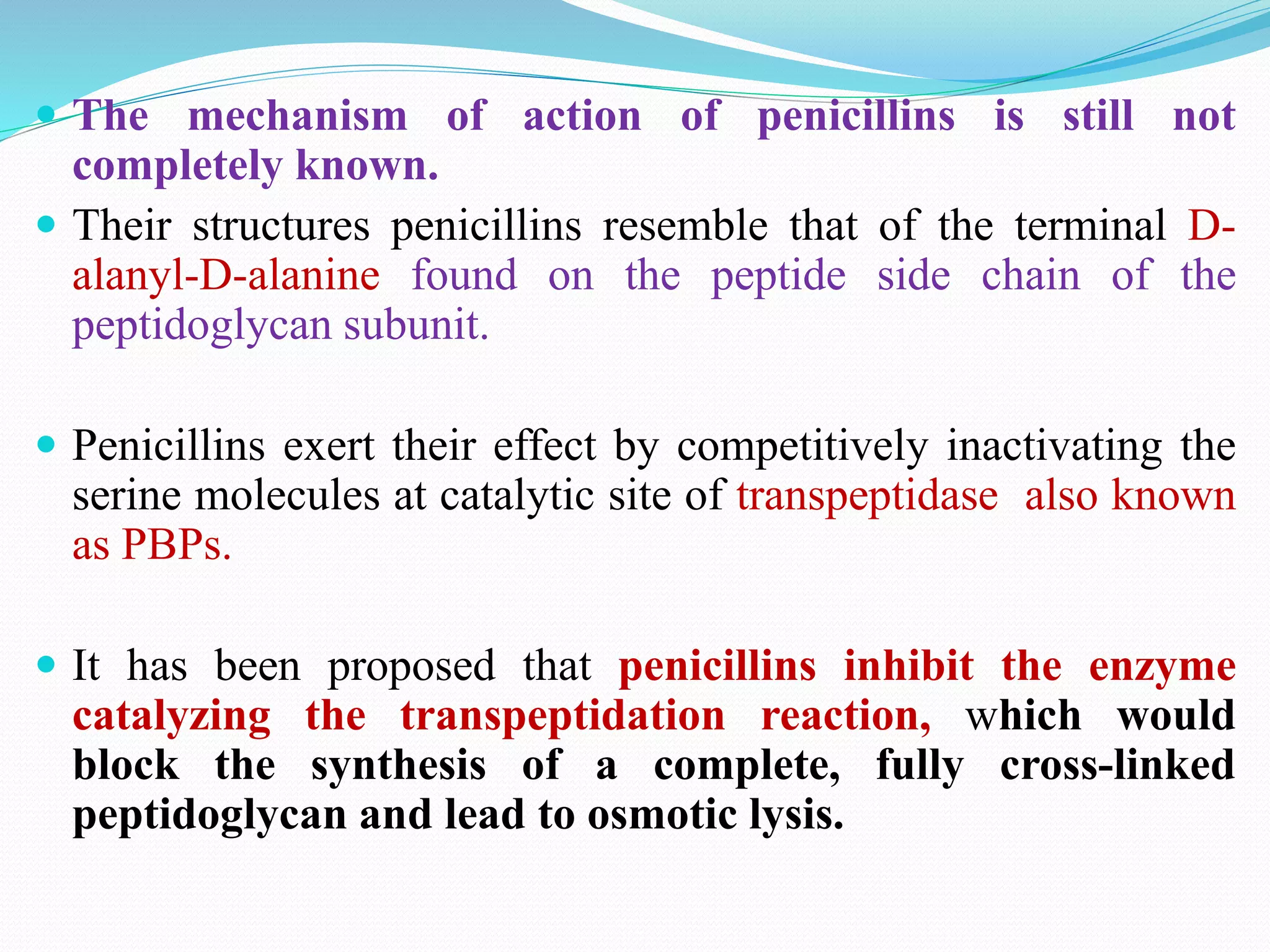  The mechanism of action of penicillins is still not
completely known.
 Their structures penicillins resemble that of the terminal D-
alanyl-D-alanine found on the peptide side chain of the
peptidoglycan subunit.
 Penicillins exert their effect by competitively inactivating the
serine molecules at catalytic site of transpeptidase also known
as PBPs.
 It has been proposed that penicillins inhibit the enzyme
catalyzing the transpeptidation reaction, which would
block the synthesis of a complete, fully cross-linked
peptidoglycan and lead to osmotic lysis.
 