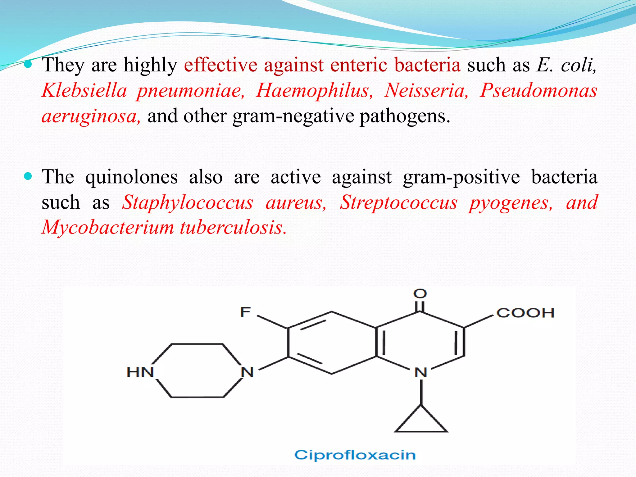  They are highly effective against enteric bacteria such as E. coli,
Klebsiella pneumoniae, Haemophilus, Neisseria, Pseudomonas
aeruginosa, and other gram-negative pathogens.
 The quinolones also are active against gram-positive bacteria
such as Staphylococcus aureus, Streptococcus pyogenes, and
Mycobacterium tuberculosis.
 