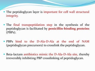 Transpeptidation Antibiotic types and mechanism of action | PPTX