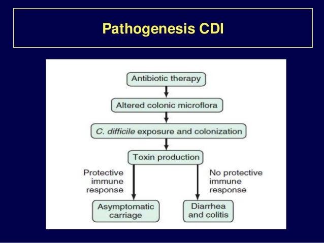 Antibiotic associated diarrhea & Clostridium difficile infection