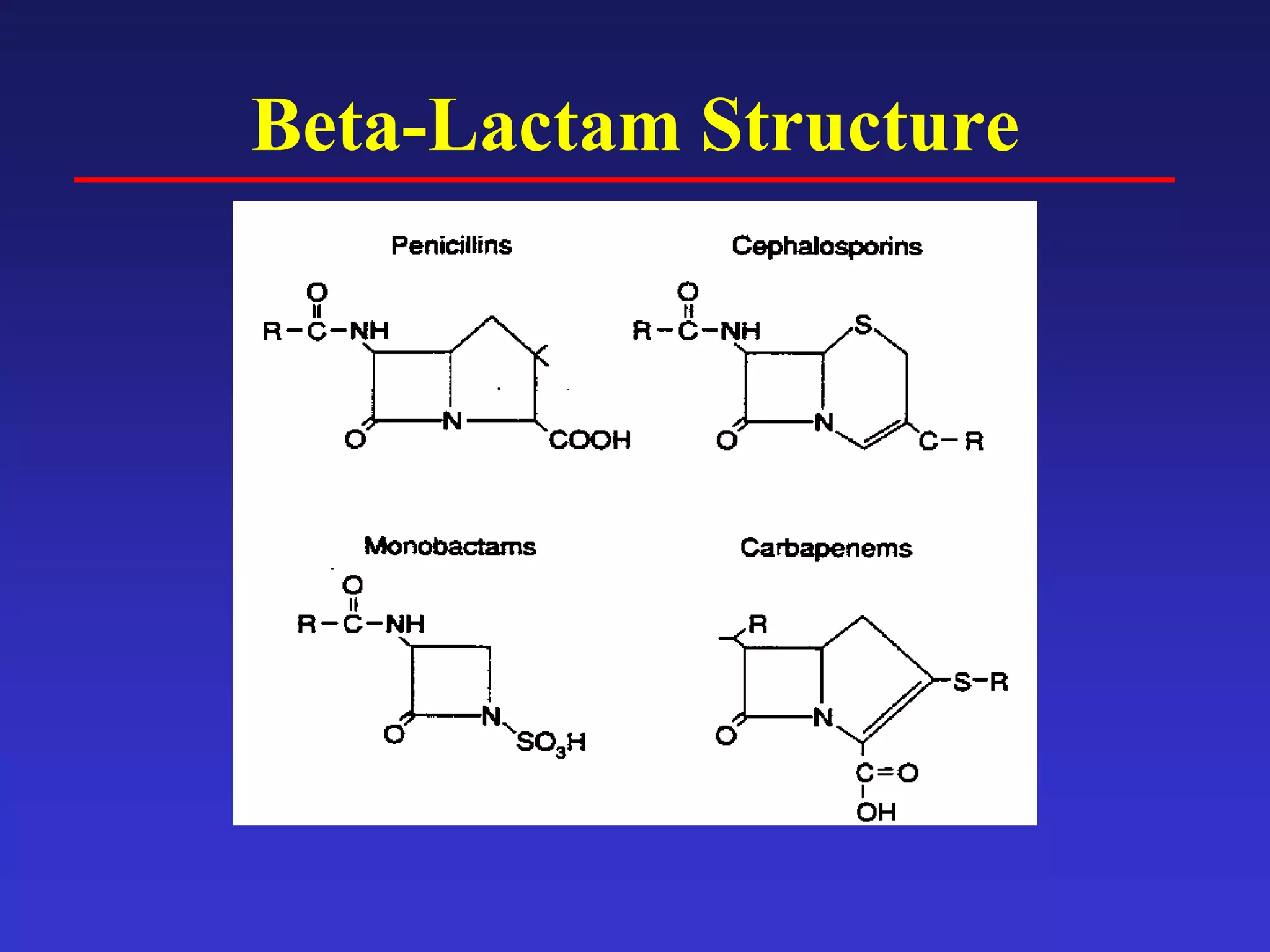 Beta-Lactam Structure
 