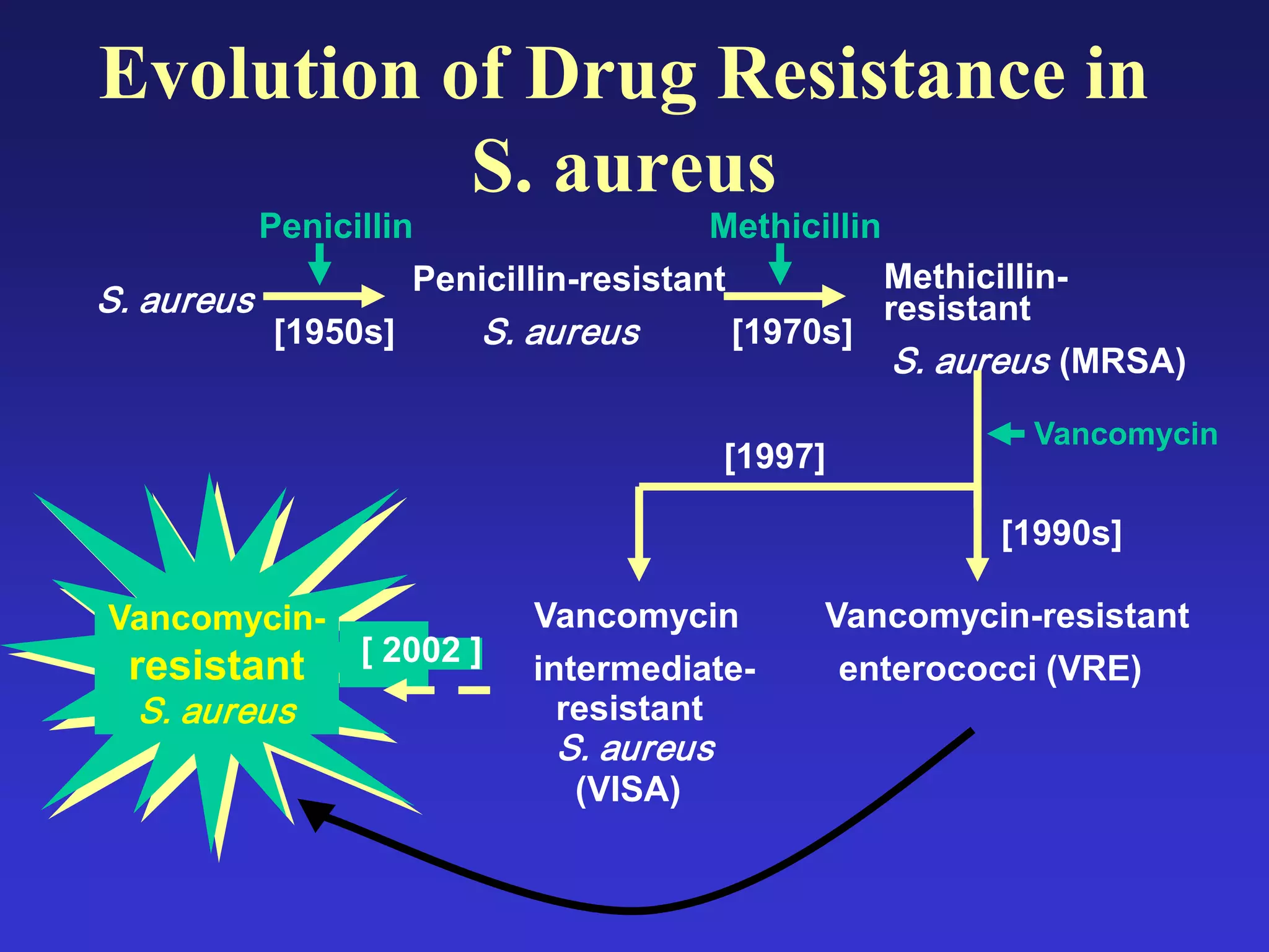 S. aureus
Penicillin
[1950s]
Penicillin-resistant
S. aureus
Evolution of Drug Resistance in
S. aureus
Methicillin
[1970s]
Methicillin-
resistant
S. aureus (MRSA)
Vancomycin-resistant
enterococci (VRE)
Vancomycin
[1990s]
[1997]
Vancomycin
intermediate-
resistant
S. aureus
(VISA)
[ 2002 ]
Vancomycin-
resistant
S. aureus
 