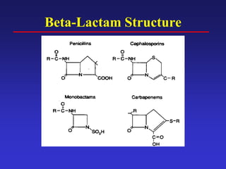 Beta-Lactam Structure
 