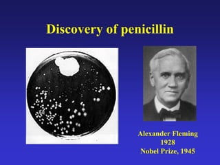 Discovery of penicillin
Alexander Fleming
1928
Nobel Prize, 1945
 
