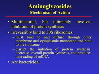 Aminoglycosides
Mechanism of Action
• Multifactorial, but ultimately involves
inhibition of protein synthesis
• Irreversibly bind to 30S ribosomes
– must bind to and diffuse through outer
membrane and cytoplasmic membrane and bind
to the ribosome
– disrupt the initiation of protein synthesis,
decreases overall protein synthesis, and produces
misreading of mRNA
• Are bactericidal
 