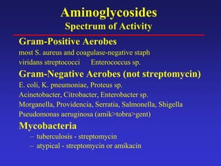 Aminoglycosides
Spectrum of Activity
Gram-Positive Aerobes
most S. aureus and coagulase-negative staph
viridans streptococci Enterococcus sp.
Gram-Negative Aerobes (not streptomycin)
E. coli, K. pneumoniae, Proteus sp.
Acinetobacter, Citrobacter, Enterobacter sp.
Morganella, Providencia, Serratia, Salmonella, Shigella
Pseudomonas aeruginosa (amik>tobra>gent)
Mycobacteria
– tuberculosis - streptomycin
– atypical - streptomycin or amikacin
 