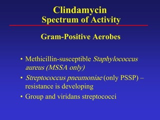 Clindamycin
Spectrum of Activity
Gram-Positive Aerobes
• Methicillin-susceptible Staphylococcus
aureus (MSSA only)
• Streptococcus pneumoniae (only PSSP) –
resistance is developing
• Group and viridans streptococci
 