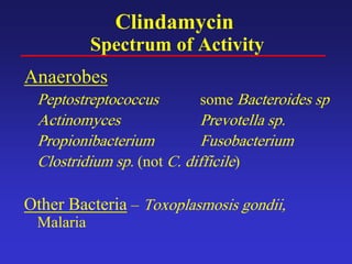 Clindamycin
Spectrum of Activity
Anaerobes
Peptostreptococcus some Bacteroides sp
Actinomyces Prevotella sp.
Propionibacterium Fusobacterium
Clostridium sp. (not C. difficile)
Other Bacteria – Toxoplasmosis gondii,
Malaria
 