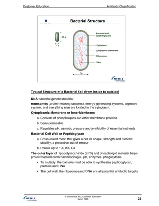 Customer Education Antibiotic Classification
28
© bioMérieux, Inc., Customer Education
March 2008
Bacterial StructureBacterial Structure
1 µ
1 µ
2.5 µ
Bacterial wall
(peptidoglycan)
Cytoplasm
Cytoplasmic membrane
Ribosomes
DNA
Typical Structure of a Bacterial Cell (from inside to outside)
DNA bacterial genetic material
Ribosomes (protein-making factories), energy-generating systems, digestive
system, and everything else are located in the cytoplasm.
Cytoplasmic Membrane or Inner Membrane
a. Consists of phospholipids and other membrane proteins
b. Semi-permeable
c. Regulates pH, osmotic pressure and availability of essential nutrients
Bacterial Cell Wall or Peptidoglycan
a. Cross-linked mesh that gives a cell its shape, strength and osmotic
stability, a protective suit of armour
b. Porous up to 100,000 Da
The outer layer of lipopolysaccharide (LPS) and phospholipid material helps
protect bacteria from bacteriophages, pH, enzymes, phagocytosis.
• To multiply, the bacteria must be able to synthesize peptidoglycan,
proteins and DNA
• The cell wall, the ribosomes and DNA are all potential antibiotic targets
 