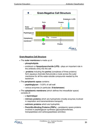 Customer Education Antibiotic Classification
31
© bioMérieux, Inc., Customer Education
March 2008
PBP Protein
Peptidoglycan
Cytoplasmic
membrane
Outer
membrane
Porin Protein
β−lactamase
Endotoxin = LPS
GramGram--Negative Cell StructureNegative Cell Structure
Gram-Negative Cell Structure
• The outer membrane is made up of:
• phospholipids
• endotoxin or lipopolysaccharide (LPS) - plays an important role in
the antibiotic entry into the cell
• proteins including the porins (complexes of three proteins)
form aqueous channels that provide a route across the outer
membrane for all the water-soluble compounds needed by the
bacterium
• The periplasmic space contains:
• peptidoglycan – 5-20% of cell wall
• various enzymes (in particular, ß-lactamases)
• The cytoplasmic membrane (which defines the intracellular space)
consists of:
• a lipid bilayer
• intrinsic proteins which are hydrophobic (mostly enzymes involved
in respiration and transmembrane transport)
• extrinsic proteins which are hydrophilic
• Penicillin-Binding Proteins (PBPs) - periplasmic space proteins
involved in peptidoglycan synthesis (glycosyltransferase,
transpeptidase and carboxypeptidase activities)
 