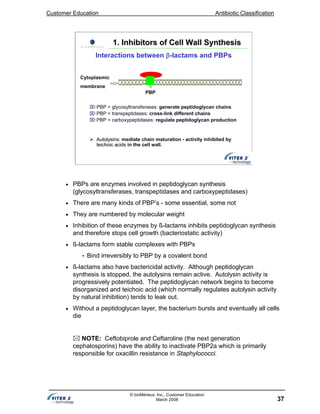 Customer Education Antibiotic Classification
37
© bioMérieux, Inc., Customer Education
March 2008
Cytoplasmic
membrane
PBP
⌦PBP = glycosyltransferases: generate peptidoglycan chains
⌦PBP = transpeptidases: cross-link different chains
⌦PBP = carboxypeptidases: regulate peptidoglycan production
AutolysinsAutolysins: mediate chain maturation - activity inhibited by
teichoic acidsteichoic acids in the cell wall.
1. Inhibitors of Cell Wall Synthesis1. Inhibitors of Cell Wall Synthesis
Interactions between β-lactams and PBPs
• PBPs are enzymes involved in peptidoglycan synthesis
(glycosyltransferases, transpeptidases and carboxypeptidases)
• There are many kinds of PBP’s - some essential, some not
• They are numbered by molecular weight
• Inhibition of these enzymes by ß-lactams inhibits peptidoglycan synthesis
and therefore stops cell growth (bacteriostatic activity)
• ß-lactams form stable complexes with PBPs
• Bind irreversibly to PBP by a covalent bond
• ß-lactams also have bactericidal activity. Although peptidoglycan
synthesis is stopped, the autolysins remain active. Autolysin activity is
progressively potentiated. The peptidoglycan network begins to become
disorganized and teichoic acid (which normally regulates autolysin activity
by natural inhibition) tends to leak out.
• Without a peptidoglycan layer, the bacterium bursts and eventually all cells
die
NOTE: Ceftobiprole and Ceftaroline (the next generation
cephalosporins) have the ability to inactivate PBP2a which is primarily
responsible for oxacillin resistance in Staphylococci.
 