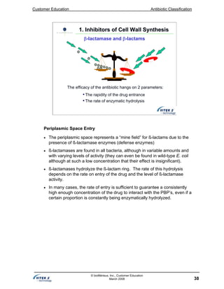 Customer Education Antibiotic Classification
38
© bioMérieux, Inc., Customer Education
March 2008
The efficacy of the antibiotic hangs on 2 parameters:
•The rapidity of the drug entrance
•The rate of enzymatic hydrolysis
1. Inhibitors of Cell Wall Synthesis1. Inhibitors of Cell Wall Synthesis
β-lactamase and β-lactams
Periplasmic Space Entry
• The periplasmic space represents a “mine field” for ß-lactams due to the
presence of ß-lactamase enzymes (defense enzymes)
• ß-lactamases are found in all bacteria, although in variable amounts and
with varying levels of activity (they can even be found in wild-type E. coli
although at such a low concentration that their effect is insignificant).
• ß-lactamases hydrolyze the ß-lactam ring. The rate of this hydrolysis
depends on the rate on entry of the drug and the level of ß-lactamase
activity.
• In many cases, the rate of entry is sufficient to guarantee a consistently
high enough concentration of the drug to interact with the PBP’s, even if a
certain proportion is constantly being enzymatically hydrolyzed.
 