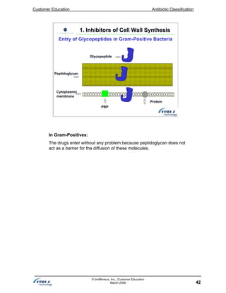Customer Education Antibiotic Classification
42
© bioMérieux, Inc., Customer Education
March 2008
Peptidoglycan
Cytoplasmic
membrane
Protein
PBP
Glycopeptide
1. Inhibitors of Cell Wall Synthesis1. Inhibitors of Cell Wall Synthesis
Entry of Glycopeptides in Gram-Positive Bacteria
In Gram-Positives:
The drugs enter without any problem because peptidoglycan does not
act as a barrier for the diffusion of these molecules.
 