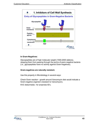 Customer Education Antibiotic Classification
43
© bioMérieux, Inc., Customer Education
March 2008
Outer
membrane
Porin
Peptido -
glycan
Cytoplasmic
membrane
PBP
Glycopeptide
1. Inhibitors of Cell Wall Synthesis1. Inhibitors of Cell Wall Synthesis
Entry of Glycopeptides in Gram-Negative Bacteria
In Gram-Negatives:
Glycopeptides are of high molecular weight (1500-2000 daltons),
stopping them from passing through the porins of gram-negative bacteria
(i.e., glycopeptides have no activity against Gram-negatives).
Gram-negatives are naturally resistant.
Use this property in Microbiology in several ways:
Check Gram reaction - growth around Vancomycin disk would indicate a
Gram-negative organism (resistant to Vancomycin).
KVC disks/media - for anaerobe ID’s.
 