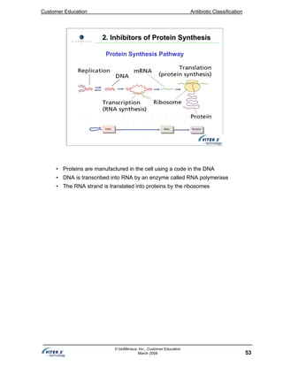 Customer Education Antibiotic Classification
53
© bioMérieux, Inc., Customer Education
March 2008
2. Inhibitors of Protein Synthesis2. Inhibitors of Protein Synthesis
Protein Synthesis Pathway
• Proteins are manufactured in the cell using a code in the DNA
• DNA is transcribed into RNA by an enzyme called RNA polymerase
• The RNA strand is translated into proteins by the ribosomes
 