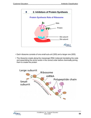 Customer Education Antibiotic Classification
54
© bioMérieux, Inc., Customer Education
March 2008
50s subunit
30s subunit
Protein
RNA
2. Inhibitors of Protein Synthesis2. Inhibitors of Protein Synthesis
Protein Synthesis Role of Ribosome
• Each ribosome consists of one small sub-unit (30S) and a larger one (50S)
• The ribosome crawls along the messenger-RNA molecule translating the code
and assembling the amino acids in the correct order before chemically joining
them to create the protein
 
