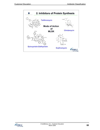 Customer Education Antibiotic Classification
60
© bioMérieux, Inc., Customer Education
March 2008
Mode of Action
of
MLSK
Erythromycin
Clindamycin
Quinupristin-Dalfopristin
2. Inhibitors of Protein Synthesis2. Inhibitors of Protein Synthesis
Telithromycin
 