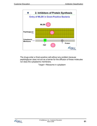 Customer Education Antibiotic Classification
61
© bioMérieux, Inc., Customer Education
March 2008
Peptidoglycan
Cytoplasmic
Membrane
Protein
PBP
MLSK
2. Inhibitors of Protein Synthesis2. Inhibitors of Protein Synthesis
Entry of MLSK in Gram-Positive Bacteria
The drugs enter a Gram-positive cell without any problem because
peptidoglycan does not act as a barrier for the diffusion of these molecules
nor does the cytoplasmic membrane.
Target = Ribosome in cytoplasm
 