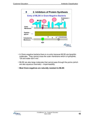 Customer Education Antibiotic Classification
62
© bioMérieux, Inc., Customer Education
March 2008
Endotoxin =
LPS
Outer
Membrane
Porin
Peptido -
glycan
Cytoplasmic
Membrane
PBP
β-lactamase
MLSK
2. Inhibitors of Protein Synthesis2. Inhibitors of Protein Synthesis
Entry of MLSK in Gram-Negative Bacteria
• In Gram-negative bacteria there is no entry because MLSK are lipophilic
molecules. They cannot cross the outer membrane which is hydrophilic.
“Oil and water don’t mix”.
• MLSK are also large molecules that cannot pass through the porins (which
are also aqueous channels) – impermeability.
• Most Gram-negatives are naturally resistant to MLSK
 