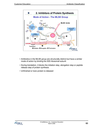 Customer Education Antibiotic Classification
63
© bioMérieux, Inc., Customer Education
March 2008
Polypeptide
release
MLSK binds
Peptide
bonds
Free amino
acids
Peptide
bond initiation
Translation:
Initiation Elongation Termination
2. Inhibitors of Protein Synthesis2. Inhibitors of Protein Synthesis
Mode of Action - The MLSK Group
• Antibiotics in the MLSK group are structurally distinct but have a similar
mode of action by binding the 50S ribosomal subunit
• During translation, it blocks the initiation step, elongation step or peptide
release step of protein synthesis
• Unfinished or toxic protein is released
 