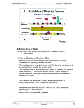 Customer Education Antibiotic Classification
78
© bioMérieux, Inc., Customer Education
March 2008
Outer
Membrane
Peptidoglycan
Cytoplasmic
Membrane
Polymyxin
Respiratory
Enzymes
+ ++
- -- - -
-
--
Entry of Polymyxins
3. Inhibitors of Membrane Function3. Inhibitors of Membrane Function
+
+
+ LPS
Polymyxin Mode of Action
Target =Membrane phospholipids (lipopolysaccharides (LPS) and
lipoproteins)
1. Outer and Cytoplasmic Membrane Effect:
Polymyxins are positively charged molecules (cationic) which are
attracted to the negatively charged bacteria.
The negative charge of bacteria is due to LPS in the outer membrane and
the peptidoglycan (notably the teichoic acid).
The antibiotic binds to the cell membrane, alters its structure and makes it
more permeable. This disrupts osmotic balance causing leakage of
cellular molecules, inhibition of respiration and increased water uptake
leading to cell death.
The antibiotic acts much like a cationic detergent and effects all
membranes similarly. Toxic side effects are common.
Little or no effect on Gram-positives since the cell wall is too thick to
permit access to the membrane.
Gram-positives are naturally resistant.
 